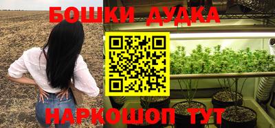 МДПВ Ливны