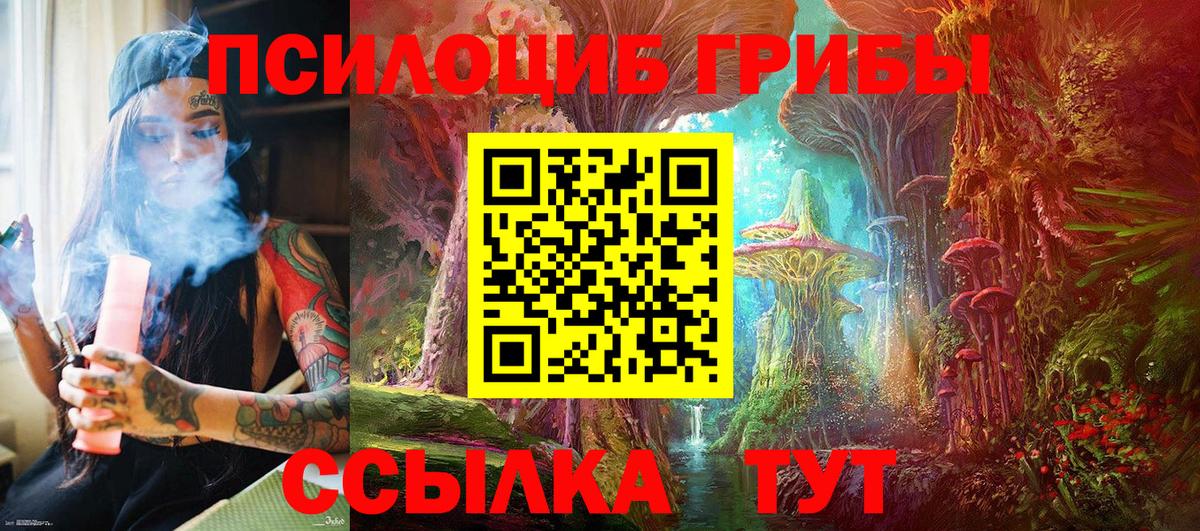 Псилоцибиновые грибы GOLDEN TEACHER Дивногорск