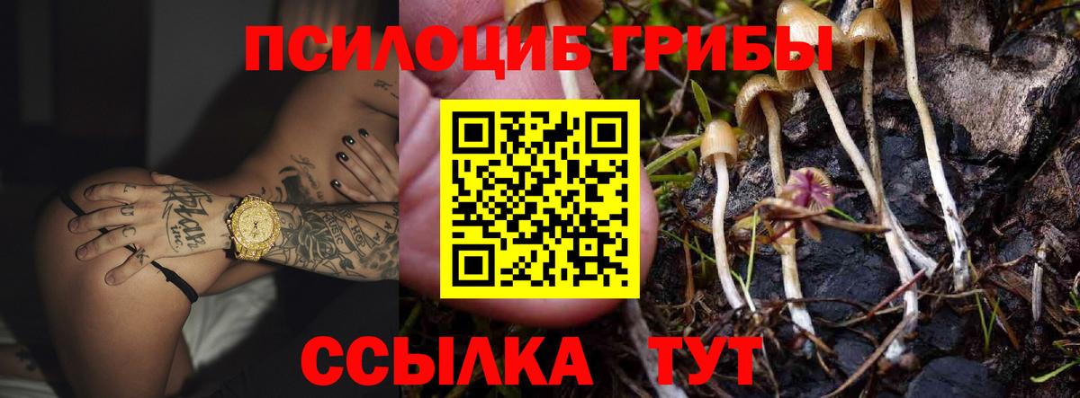 Дивногорск  Галлюциногенные грибы ЛСД  Вход с VPN  Псилоцибиновые грибы мухоморы 