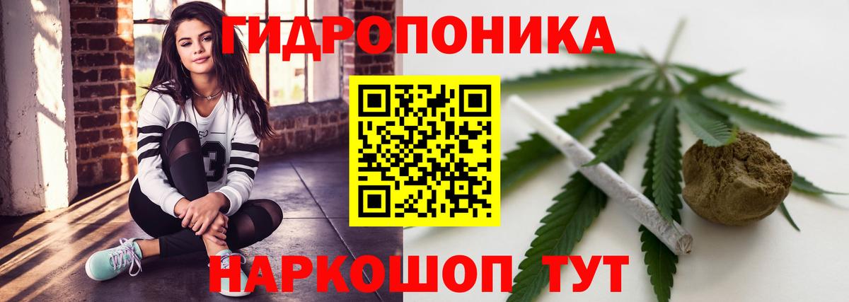 Конопля White Widow Дивногорск